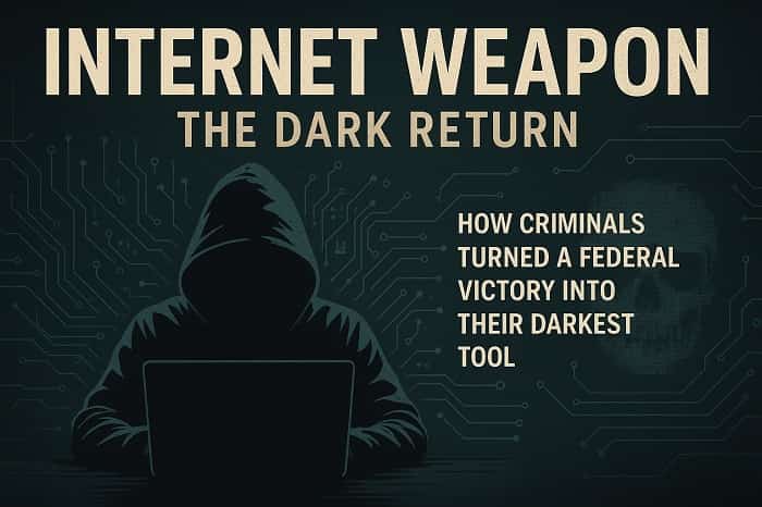 سلاح اینترنتی