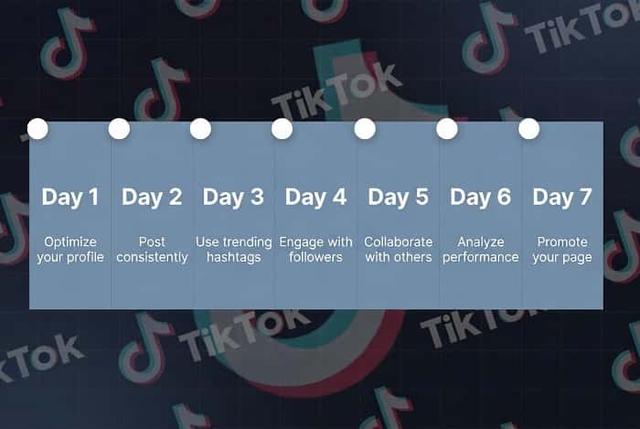 چک‌لیست ۷ روزه برای رشد پیج و افزایش فالوور تیک تاک